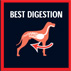 BEST DIGESTION