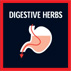 DIGESTIVE HERBS